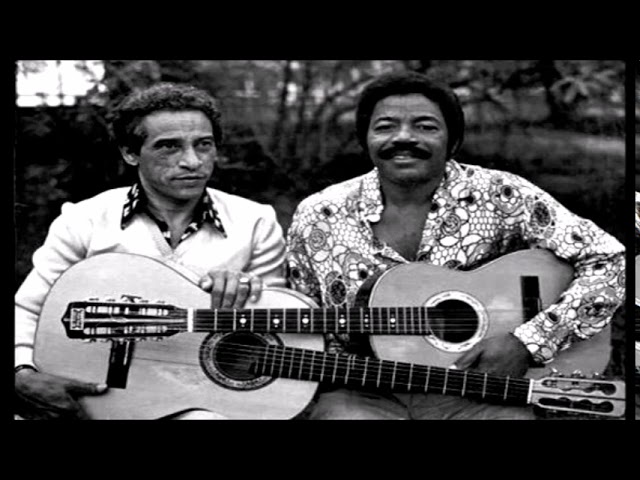 Pardinho e Pardal - Ninho de Saudade